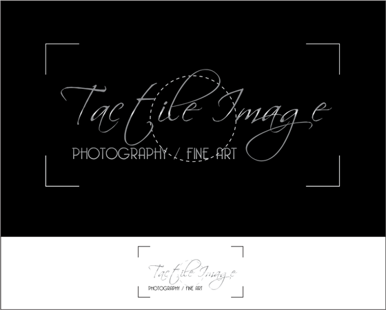 Logotypes: tactile image